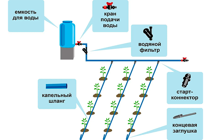 Капельный полив: какой выбрать, как рассчитать и установить своими руками