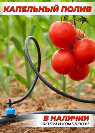 Капельный полив