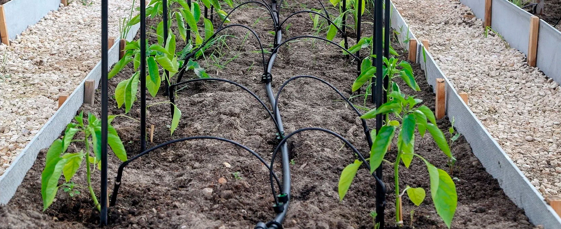 Капельный полив