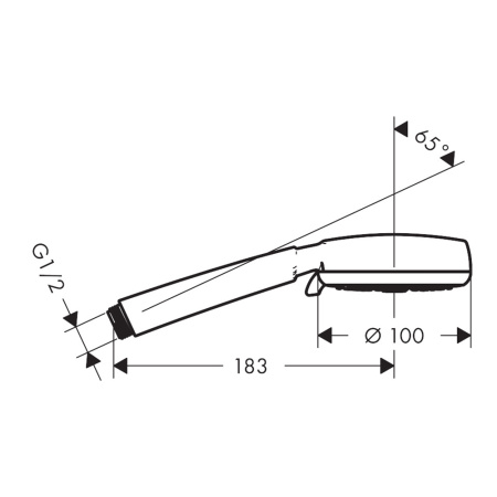 Душевая лейка Crometta 100 Vario Hansgrohe 32129000