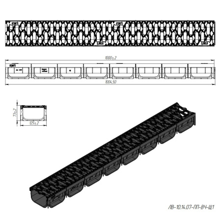Лоток водоотводный с чугунной решеткой 1000 х 125 х 70 мм S'park2 DN100 Standartpark