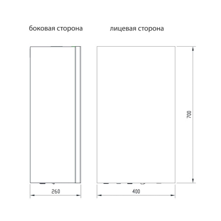 Котел газовый Thermex Antares FH24 (одноконтурный)